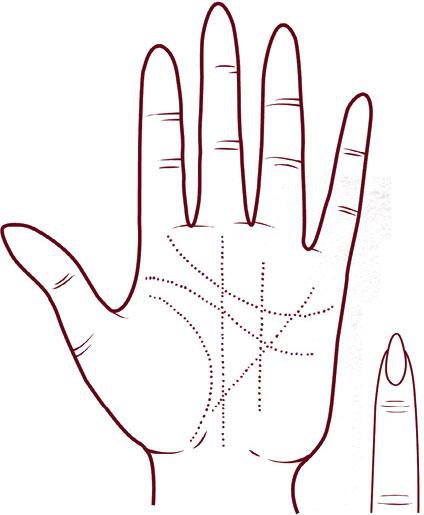 Иллюстрация к книге — Отражение судьбы [_28.jpg]