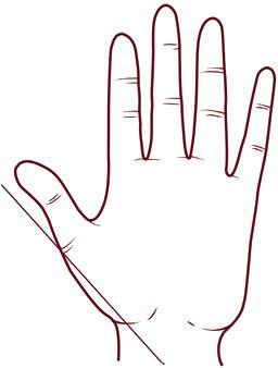 Иллюстрация к книге — Отражение судьбы [_36.jpg]