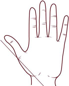 Иллюстрация к книге — Отражение судьбы [_37.jpg]