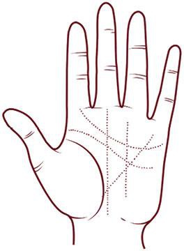 Иллюстрация к книге — Отражение судьбы [_45.jpg]