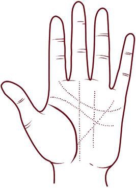 Иллюстрация к книге — Отражение судьбы [_47.jpg]