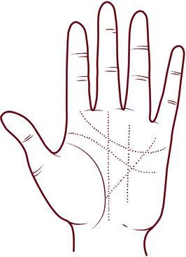 Иллюстрация к книге — Отражение судьбы [_48.jpg]