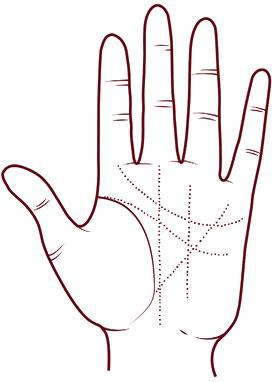 Иллюстрация к книге — Отражение судьбы [_52.jpg]