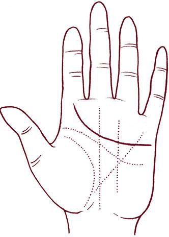 Иллюстрация к книге — Отражение судьбы [_53.jpg]