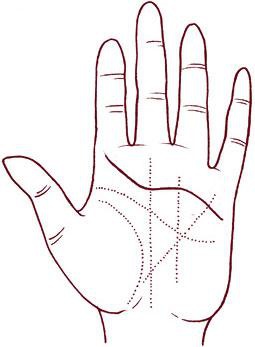 Иллюстрация к книге — Отражение судьбы [_60.jpg]