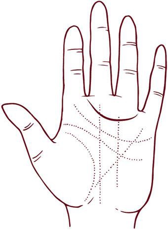 Иллюстрация к книге — Отражение судьбы [_66.jpg]