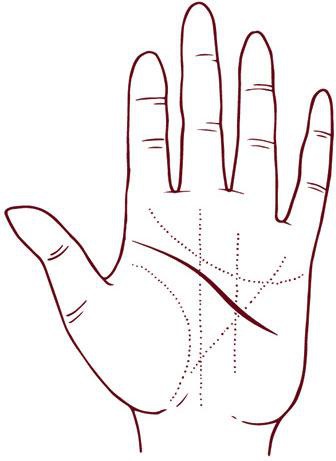 Иллюстрация к книге — Отражение судьбы [_67.jpg]