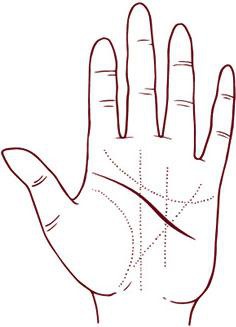 Иллюстрация к книге — Отражение судьбы [_70.jpg]