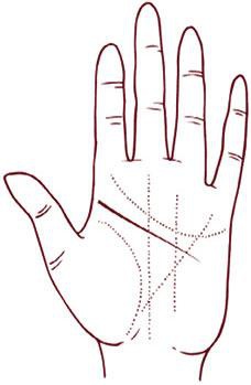 Иллюстрация к книге — Отражение судьбы [_73.jpg]