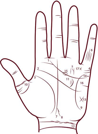 Иллюстрация к книге — Отражение судьбы [_76.jpg]