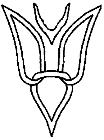 Иллюстрация к книге — Битва у Варяжских столпов [i_022.jpg]