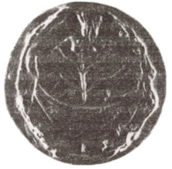 Иллюстрация к книге — Одиссея варяжской Руси [i_011.jpg]