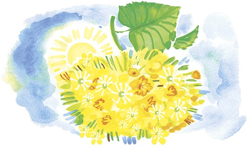 Иллюстрация к книге — Солнечная полянка [i_012.jpg]