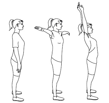 Иллюстрация к книге — Восстанавливающая гимнастика для сосудов [i_157.jpg]