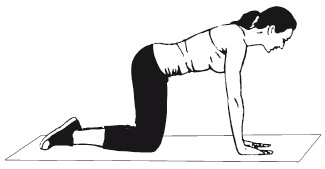 Иллюстрация к книге — Плоский живот. Идеальная диета и система упражнений [i_063.jpg]