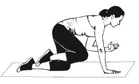 Иллюстрация к книге — Плоский живот. Идеальная диета и система упражнений [i_066.jpg]