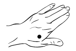 Иллюстрация к книге — Лечебный массаж внутренних органов [Autogen_eBook_id2.jpg]