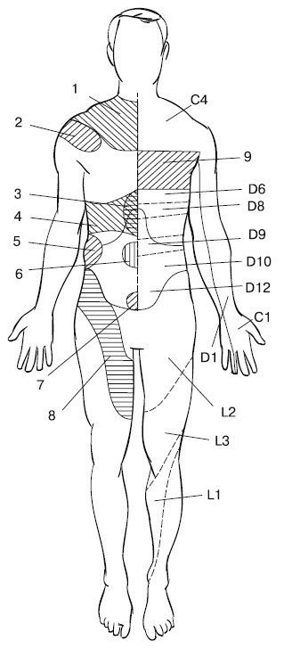 Иллюстрация к книге — Лечебный массаж внутренних органов [Autogen_eBook_id22.jpg]