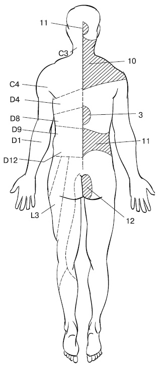 Иллюстрация к книге — Лечебный массаж внутренних органов [Autogen_eBook_id23.jpg]