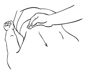 Иллюстрация к книге — Лечебный массаж внутренних органов [Autogen_eBook_id29.jpg]