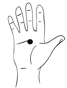 Иллюстрация к книге — Лечебный массаж внутренних органов [Autogen_eBook_id4.jpg]