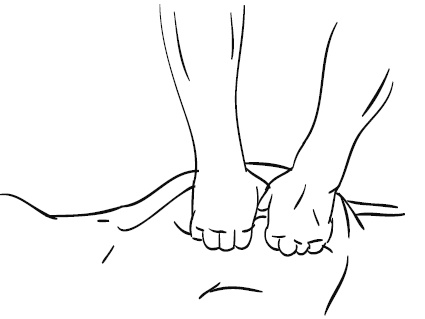 Иллюстрация к книге — Лечебный массаж внутренних органов [Autogen_eBook_id46.jpg]