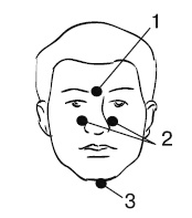 Иллюстрация к книге — Лечебный массаж внутренних органов [Autogen_eBook_id6.jpg]