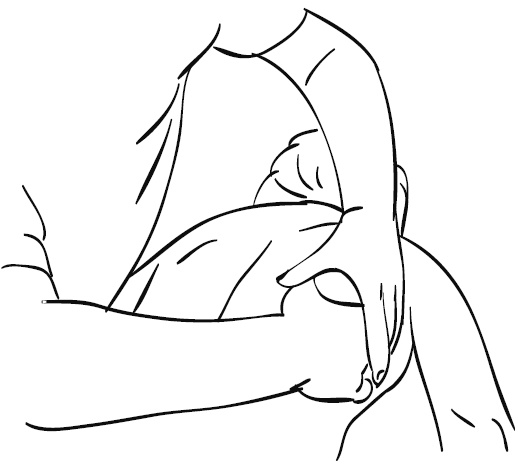 Иллюстрация к книге — Лечебный массаж внутренних органов [Autogen_eBook_id72.jpg]