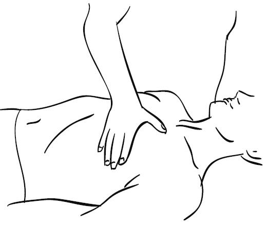 Иллюстрация к книге — Лечебный массаж внутренних органов [Autogen_eBook_id77.jpg]