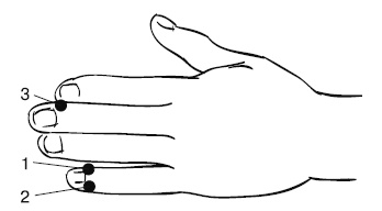 Иллюстрация к книге — Лечебный массаж внутренних органов [Autogen_eBook_id9.jpg]