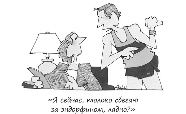 Иллюстрация к книге — Исчезающие носки, новогодние обещания и еще 97 загадок бытия [_40.jpg]