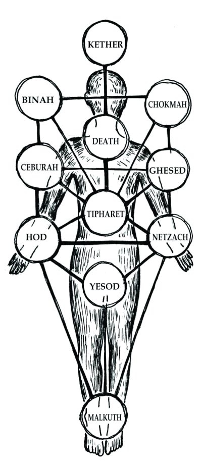 Иллюстрация к книге — Психология реальности [i_013.jpg]