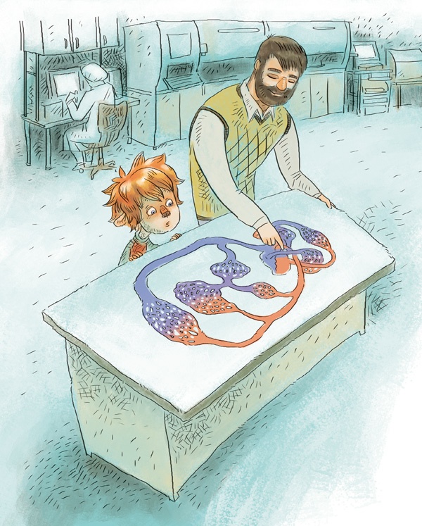 Иллюстрация к книге — Как устроен человек [i_011.jpg]