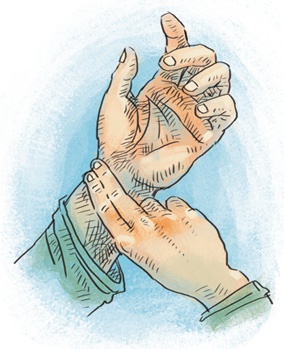 Иллюстрация к книге — Как устроен человек [i_017.jpg]