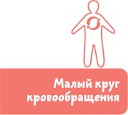 Иллюстрация к книге — Как устроен человек [i_022.jpg]