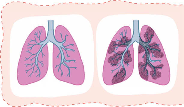 Иллюстрация к книге — Как устроен человек [i_033.jpg]