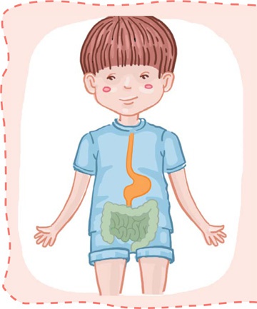 Иллюстрация к книге — Как устроен человек [i_040.jpg]