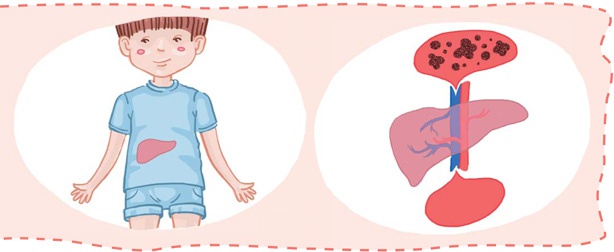 Иллюстрация к книге — Как устроен человек [i_042.jpg]