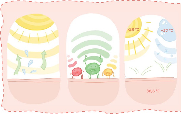 Иллюстрация к книге — Как устроен человек [i_060.jpg]