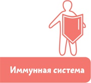 Иллюстрация к книге — Как устроен человек [i_061.jpg]