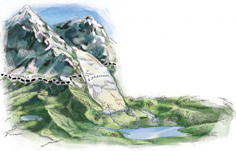 Иллюстрация к книге — Планета Земля [i_033.jpg]