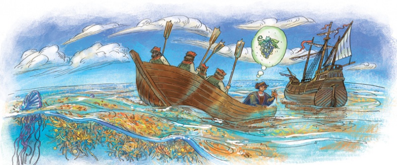 Иллюстрация к книге — Планета Земля [i_054.jpg]