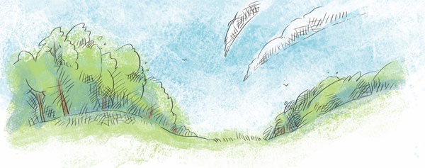 Иллюстрация к книге — Если хочешь быть здоров [i_045.jpg]