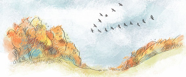 Иллюстрация к книге — Если хочешь быть здоров [i_058.jpg]