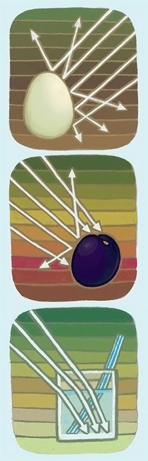 Иллюстрация к книге — Увлекательная физика [i_015.jpg]