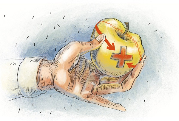 Иллюстрация к книге — Великие путешествия. Детские энциклопедии с Чевостиком [i_026.jpg]