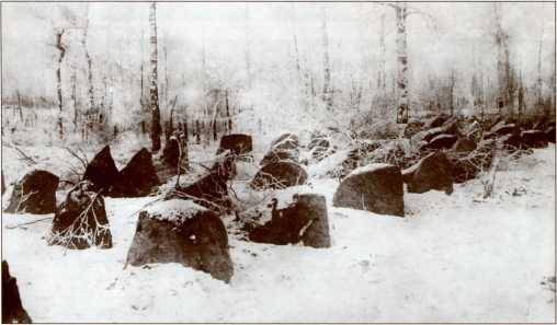 Иллюстрация к книге — Танки в Зимней войне [i_011.jpg]