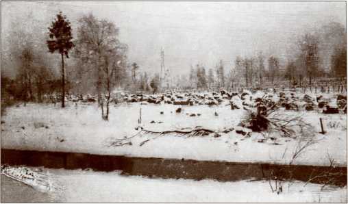 Иллюстрация к книге — Танки в Зимней войне [i_012.jpg]