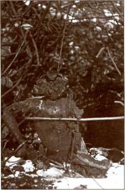 Иллюстрация к книге — Танки в Зимней войне [i_101.jpg]