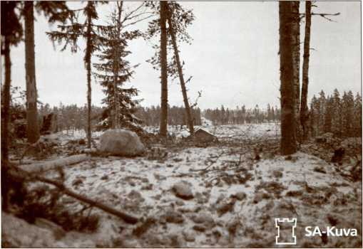 Иллюстрация к книге — Танки в Зимней войне [i_117.jpg]